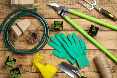 Flat lay composition with gardening tools and green plants on wooden background