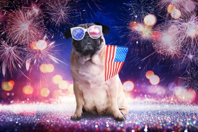 4th of July - Independence Day of USA. Cute dog with sunglasses and American flag on festive background with fireworks and glitters, bokeh effect