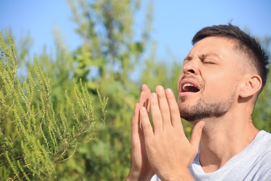 Photo of Man suffering from ragweed allergy outdoors on sunny day