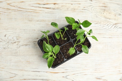 Vegetable seedlings in plastic tray on wooden background, top view