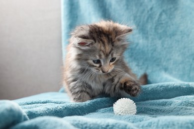 Cute kitten playing with ball on light blue blanket