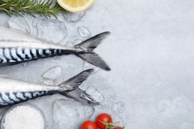 Photo of Raw mackerel, tomatoes and rosemary on light gray table, flat lay. Space for text