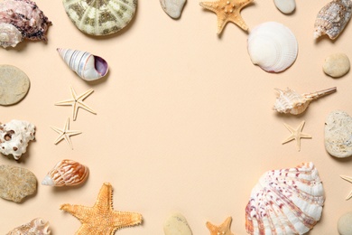 Photo of Frame of seashells on light background, flat lay. Space for text