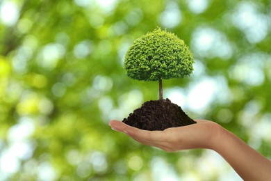 Woman holding pile of soil with small tree on blurred green background, closeup. Eco friendly lifestyle 