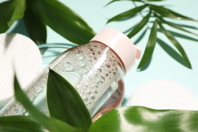 Bottle of micellar cleansing water, cotton pads and green plants on turquoise background, closeup