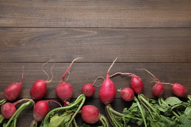 Fresh red ripe radishes on wooden table, flat lay. Space for text