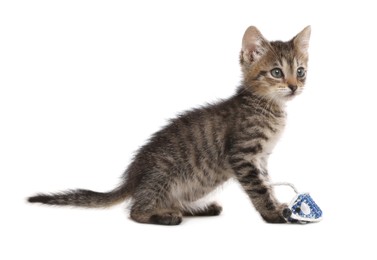 Cute little kitten playing with toy mouse on white background. Adorable pet