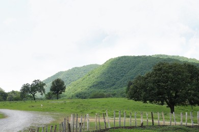 Picturesque view of high mountains and green meadow with fence