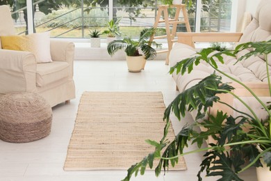 Stylish living room interior with beige rug, comfortable furniture and plants