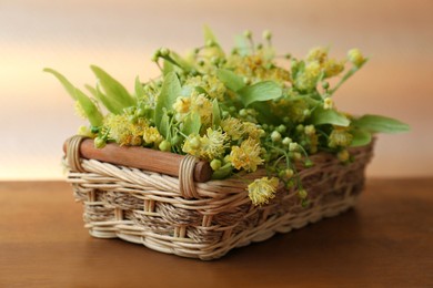 Beautiful linden blossoms and green leaves in wicker basket on wooden table, closeup