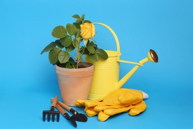 Photo of Gardening gloves, tools and pot with beautiful rose on light blue background