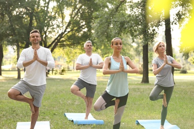People practicing yoga in park at morning
