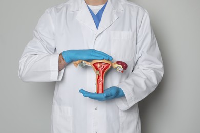 Gynecologist demonstrating model of female reproductive system on light grey background, closeup
