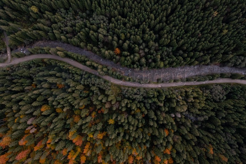 Aerial view of beautiful forest, river and empty road on autumn day