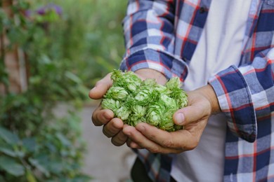 Photo of Man holding fresh green hops outdoors, closeup