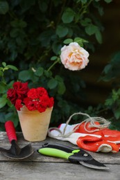 Photo of Secateurs, flowers and other gardening tools on wooden table outdoors