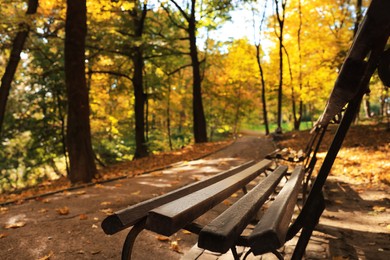 Wooden benches, pathway, fallen leaves and trees in beautiful park on autumn day, closeup. Space for text