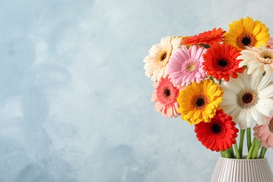 Photo of Bouquet of beautiful colorful gerbera flowers in vase on light blue background. Space for text