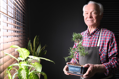 Senior man with Japanese bonsai plant near window indoors, space for text. Creating zen atmosphere at home