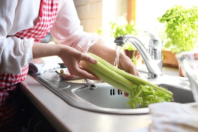 Photo of Woman washing fresh celery in kitchen sink, closeup