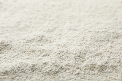 Oat flour as background, closeup. Gluten free product