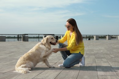 Cute golden retriever dog giving paw to young woman on pier