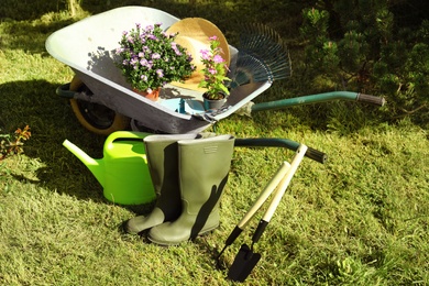 Wheelbarrow and gardening tools in backyard on sunny day
