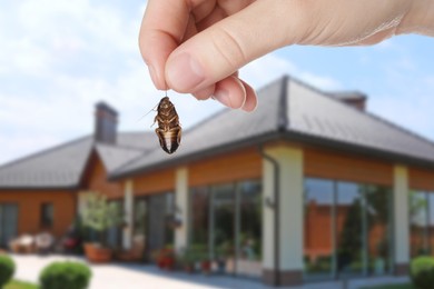 Woman holding dead cockroach and blurred view of modern house on background. Pest control