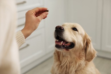 Photo of Woman giving pill to cute dog at home, closeup. Vitamins for animal
