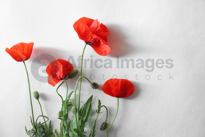 Photo of Beautiful red poppy flowers on white background, flat lay