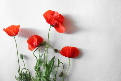 Beautiful red poppy flowers on white background, flat lay