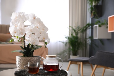 Beautiful white orchids and tea set on table in bedroom, space for text. Interior design