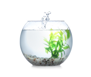 Splash of water in round fish bowl with decorative plant and pebbles on white background