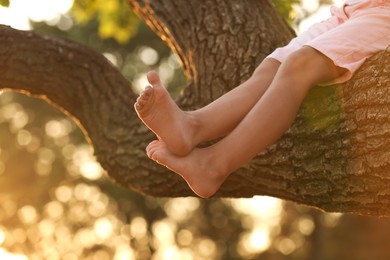 Photo of Little girl sitting on tree outdoors, closeup. Child spending time in nature