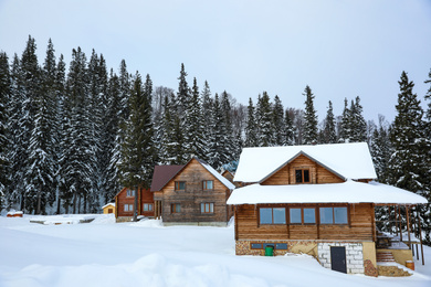 Modern cottages in snowy coniferous forest on winter day