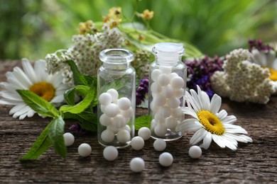 Bottles of homeopathic remedy and different plants on wooden table