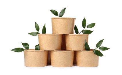 Eco friendly food containers and twigs on white background