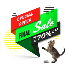 Advertising poster Pet Shop SALE. Cute cat and discount offer on white background