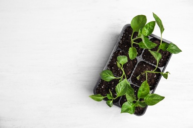 Photo of Vegetable seedlings in plastic tray on white wooden table, top view. Space for text