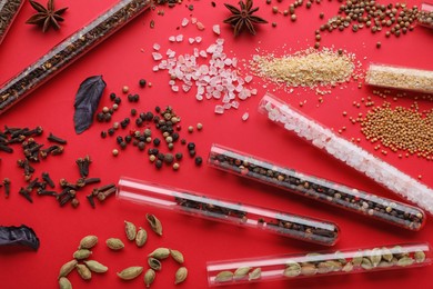 Glass tubes with different spices on red background, flat lay