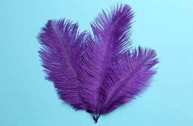 Beautiful violet feathers on light blue background, top view