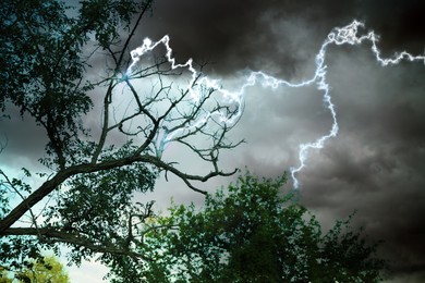 Dark cloudy sky with lightning striking trees. Thunderstorm