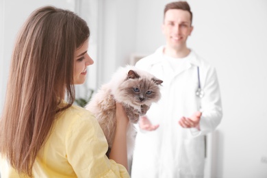 Young woman with cat in veterinarian clinic