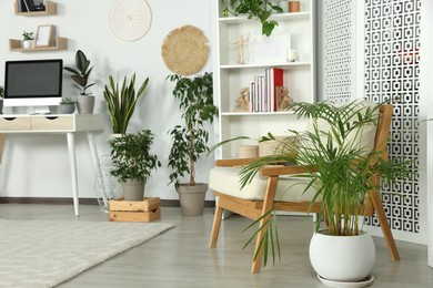 Stylish room interior with comfortable armchair and beautiful houseplants