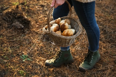 Woman carrying basket with fresh mushrooms in forest, closeup