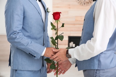 Happy newlywed gay couple with flower at home, closeup