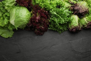 Different sorts of lettuce on black slate table, flat lay. Space for text