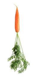Tasty ripe organic carrot isolated on white