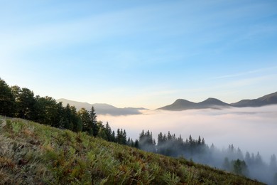 Picturesque view of fog in mountains on morning