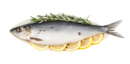 Plate with salted herring, slices of lemon, peppercorns and rosemary isolated on white, top view